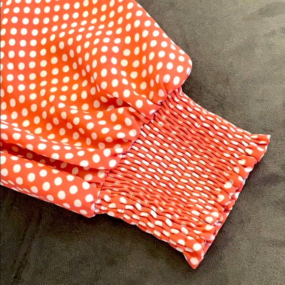 Express - Picture 4 of 5